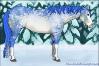 Horse Color:Watercolor Brown Ice Sabino Splash