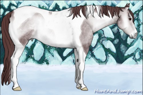 Horse Color:Chocolate Brown Chinchilla Onyx Tobiano Rabicano 