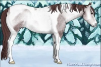 Horse Color:Chocolate Brown Chinchilla Onyx Tobiano Rabicano