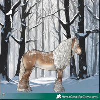 Horse Color:Gray Liver Red Dun Mushroom Tobiano 