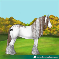 Horse Color:White Spotted Liver Chestnut 