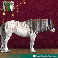 Horse Color:Bay Sabino Rabicano  and Bay Sabino Appaloosa Rabicano 