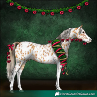 Horse Color:Bay Splash Tobiano Appaloosa  and Buckskin Splash Tobiano Appaloosa 