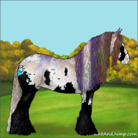 Horse Color:Nacre White Spotted Chocolate Brown Ice Onyx Splash Appaloosa 