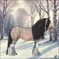 Horse Color:Bay Ice Roan 