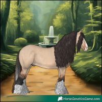 Horse Color:Bay Dun Splash Rabicano 