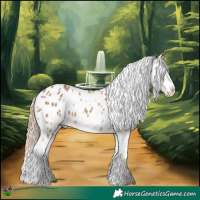 Horse Color:White Spotted Red Dun Splash Frame Appaloosa Rabicano 
