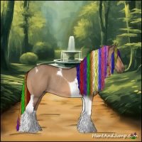 Horse Color:Painted Bay Dun Tobiano Rabicano 