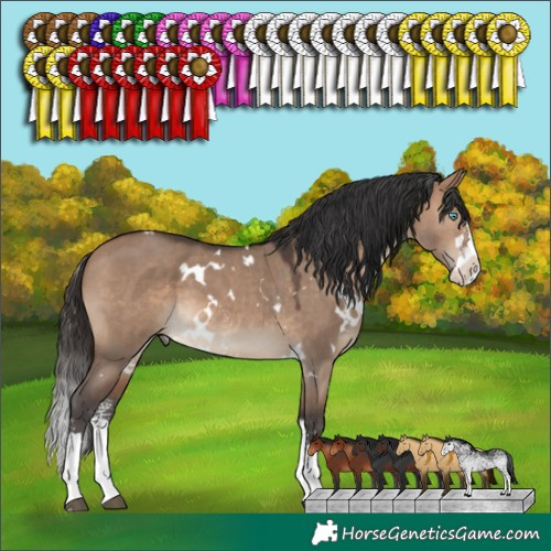 Horse Color:White Spotted Brown Dun Sabino Splash
