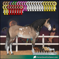 Horse Color:White Spotted Brown Dun Sabino Splash 