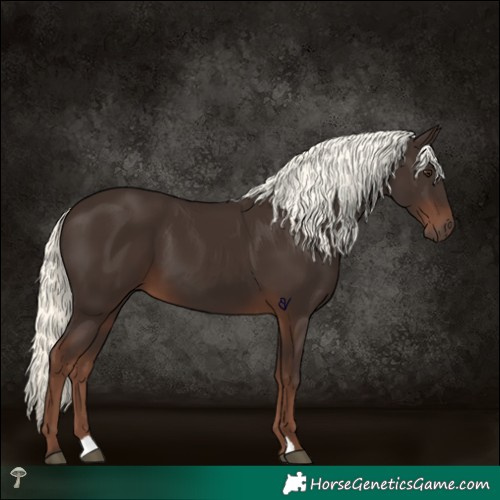 Horse Color:Liver Chestnut Mushroom 