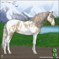 Horse Color:Chocolate Palomino Dun Mushroom Splash Tobiano Appaloosa
