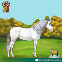 Horse Color:Gray White Spotted Sable Champagne Dun Splash Tobiano Varnish Rabicano 