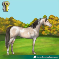 Horse Color:White Spotted Sable Champagne Dun Sabino Rabicano
