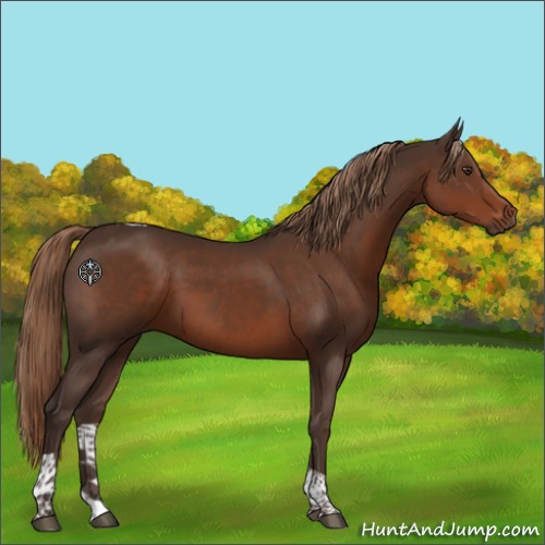 Horse Color:Liver Chestnut Tobiano 