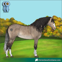 Horse Color:Brown Dun Brindle 