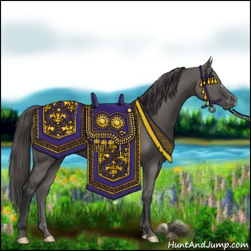 Horse Color:Grullo Varnish 