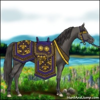 Horse Color:Grullo Varnish 