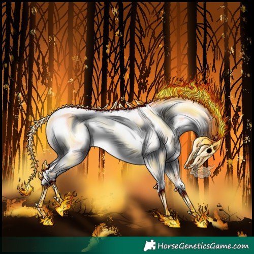 Horse Color:Classic Cream Champagne Onyx Tobiano Appaloosa