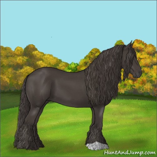 Horse Color:Smoky Black 