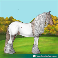 Horse Color:Liver Chestnut Tobiano Near Fewspot Rabicano 