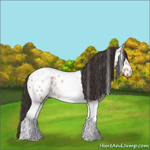 Horse Color:Bay Dun Tobiano Appaloosa Rabicano