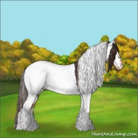 Horse Color:Liver Red Dun Tobiano Appaloosa Rabicano 