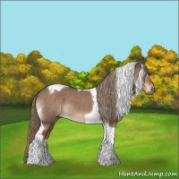 Horse Color:Liver Red Dun Tobiano 