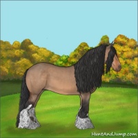 Horse Color:Bay Dun Tobiano 