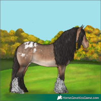 Horse Color:Bay Dun Tobiano Blanket Rabicano 