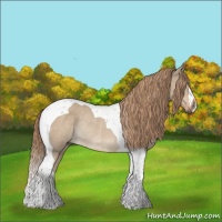 Horse Color:Liver Red Dun Tobiano Rabicano 