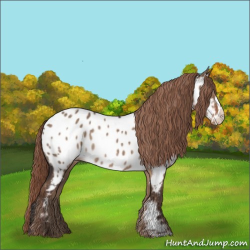 Horse Color:Liver Red Dun Appaloosa Rabicano 