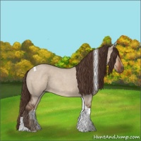Horse Color:Liver Red Dun Roan Tobiano Rabicano 