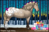 Horse Color:Liver Red Dun Appaloosa 