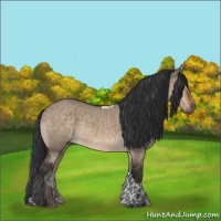 Horse Color:Brown Dun Tobiano Rabicano 