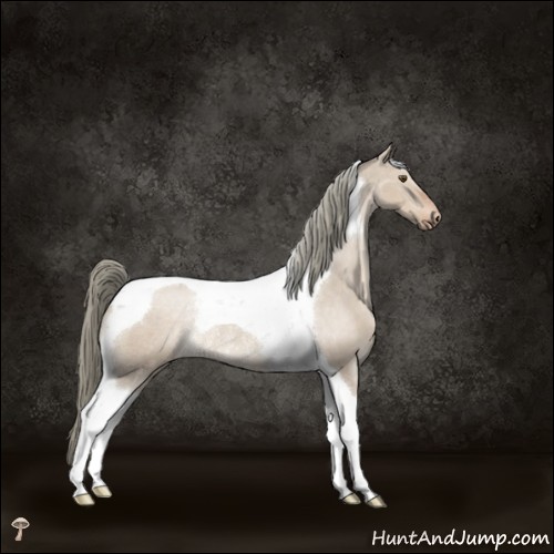 Horse Color:Liver Red Dun Mushroom Tobiano Appaloosa Rabicano 