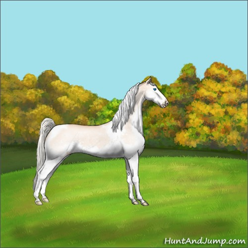 Horse Color:Red Dun Roan Mushroom Splash Tobiano Rabicano Brindle 