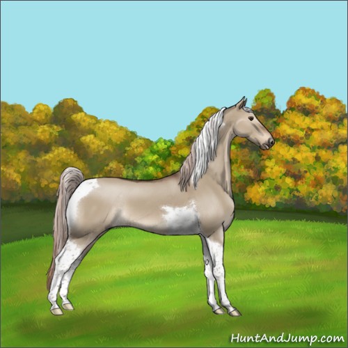 Horse Color:Liver Red Dun Tobiano