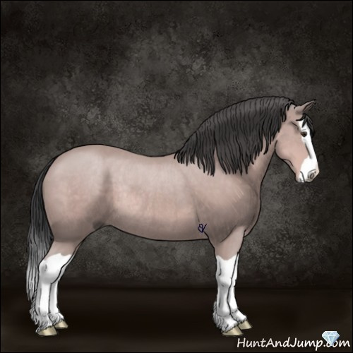 Horse Color:Platinum Bay Splash Rabicano