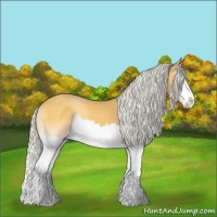 Horse Color:Silver Buckskin Onyx Splash 