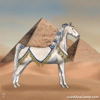 Horse Color:Red Dun Mushroom Sabino 