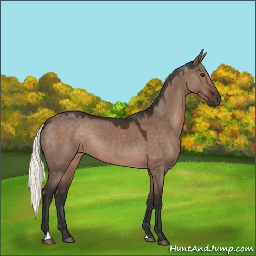 Horse Color:Liver Red Dun Mushroom