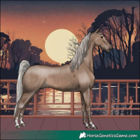 Horse Color:Silver Grullo Mushroom 
