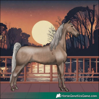 Horse Color:Silver Grullo Mushroom 