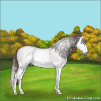 Horse Color:Gray Chocolate Bay Chinchilla Roan Splash Varnish 