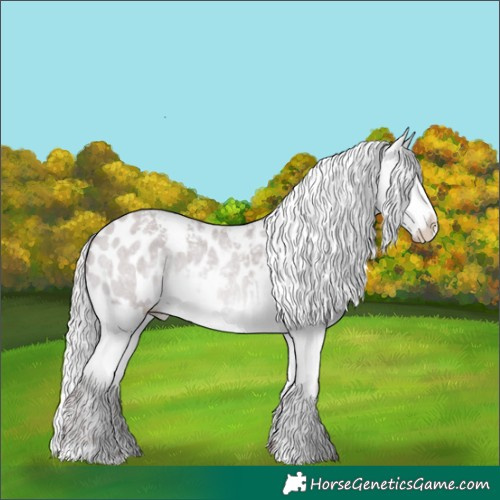 Horse Color:White Spotted Chocolate Amber Champagne Chinchilla Roan Appaloosa Rabicano 