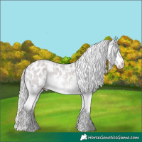 Horse Color:White Spotted Chocolate Amber Champagne Chinchilla Roan Blanket Rabicano 