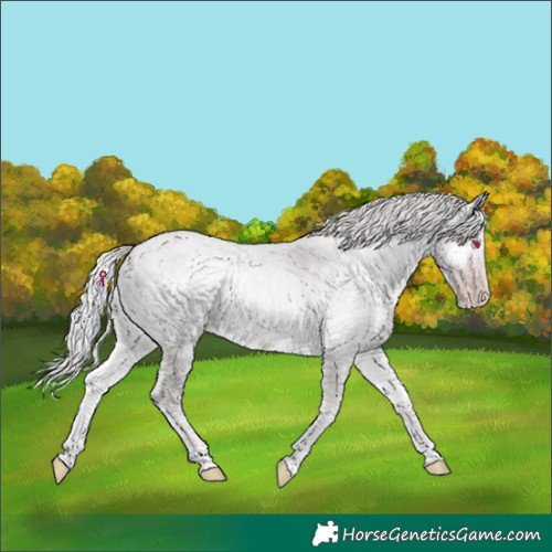 Horse Color:Chocolate Silver Classic Champagne Chinchilla Roan Onyx 