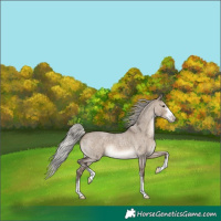 Horse Color:Silver Brown Roan Dun 