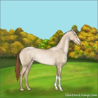 Horse Color:Smoky Grullo Roan Pearl Rabicano 